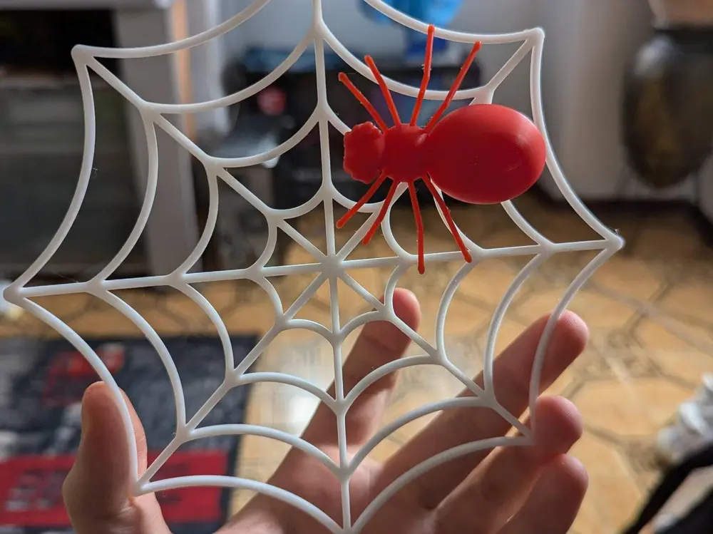 Spider on it's web