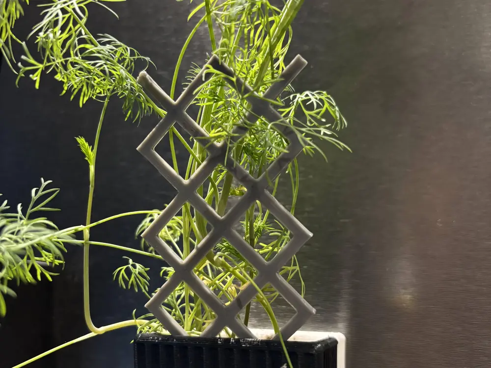 Plant Lattice