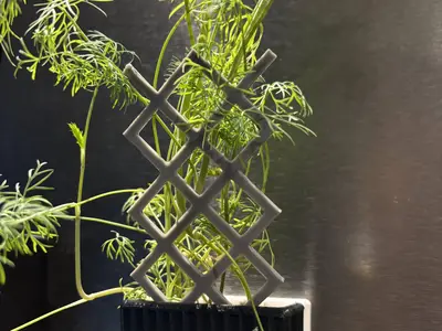 Plant Lattice