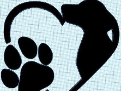 Dog heart