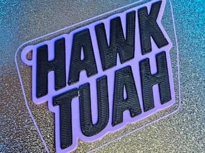 Hawk Tuah! Keychain