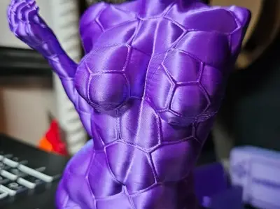 Female Torso Body Sculpture with Rope Net