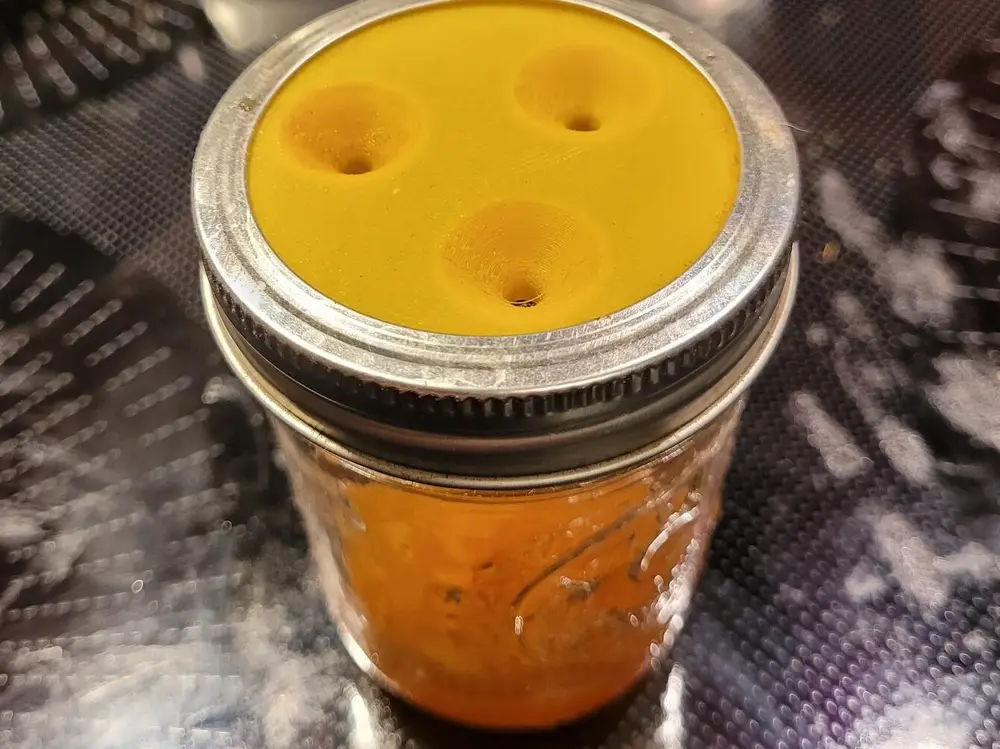 Fruit Fly Trap