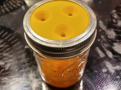 Fruit Fly Trap