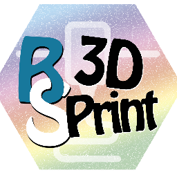 BS3DPrint