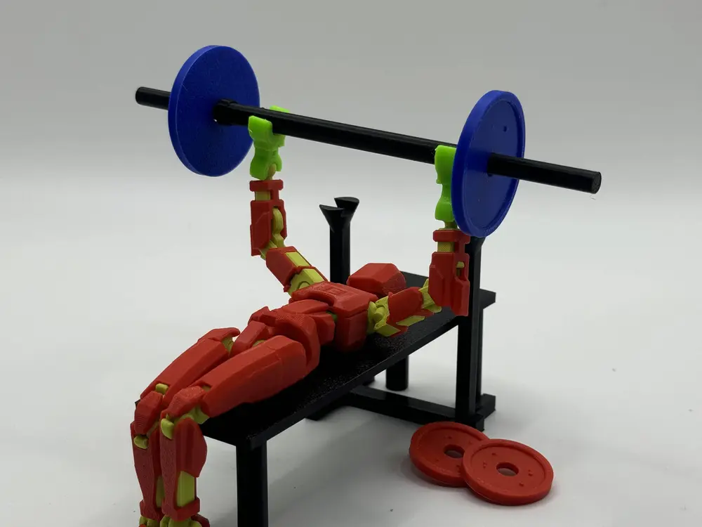 DUMMY13'S GYM BENCH BARREL WEIGHTS MUSCLES ARMS