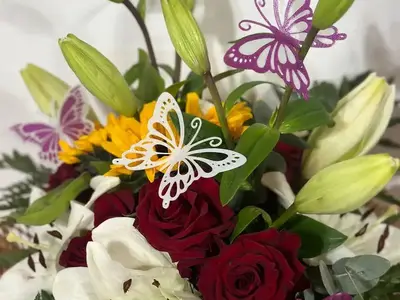 BUTTERFLY