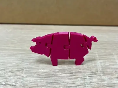 Flexi pig