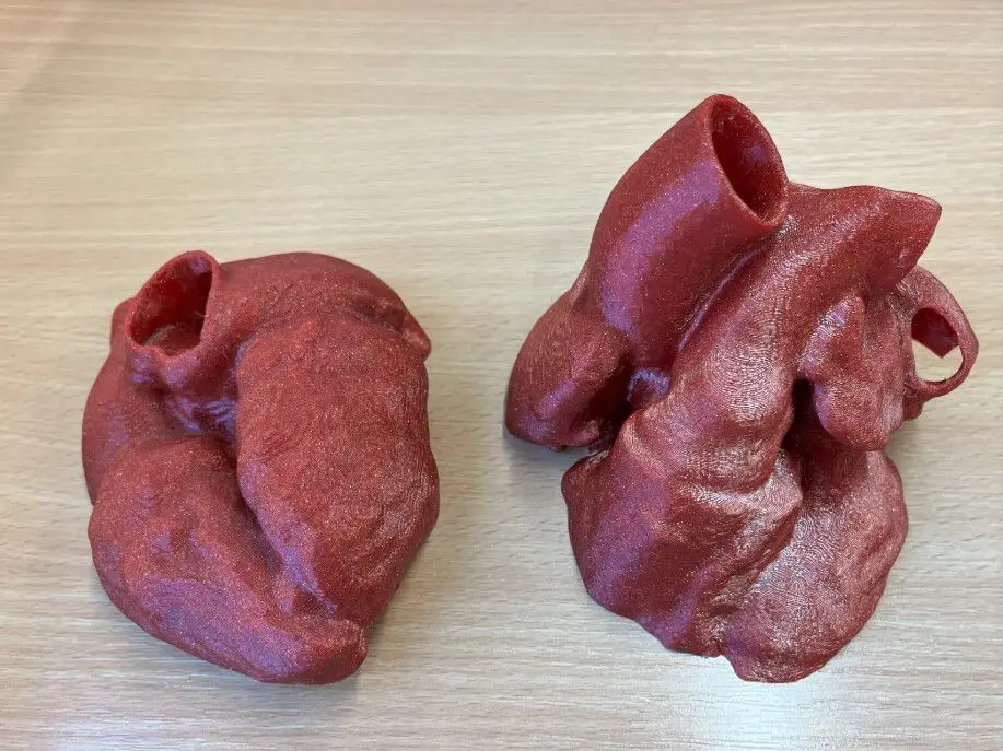 Human hearth