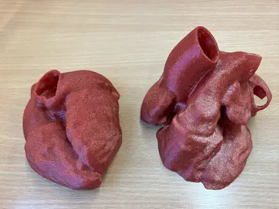 Human hearth