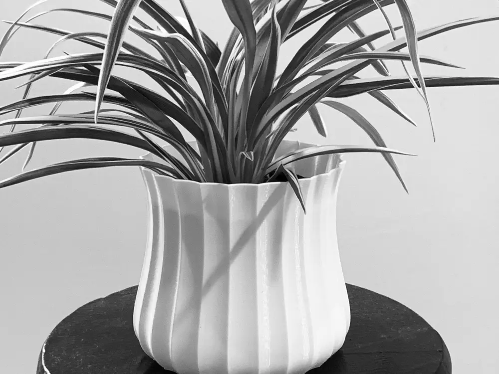 vase planter