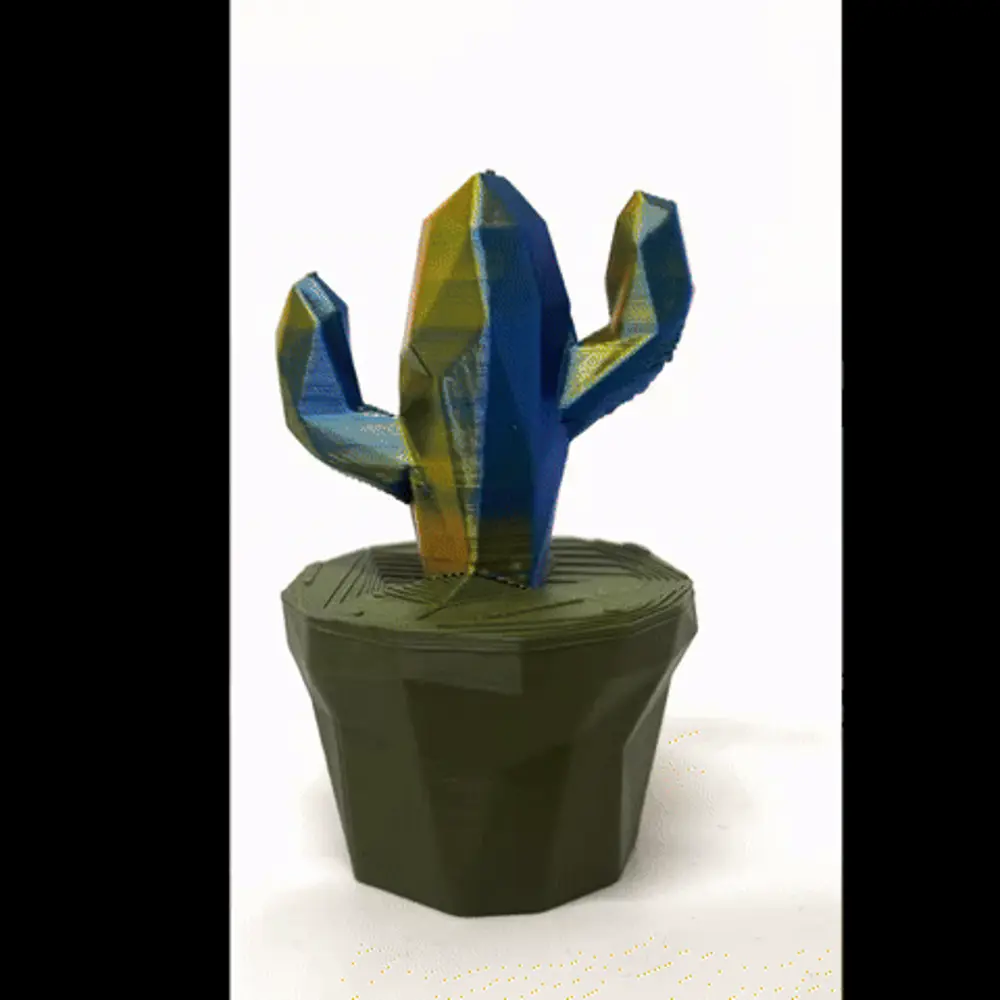 Cowboy cactus