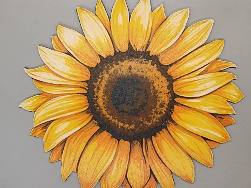 Hueforge Sunflower