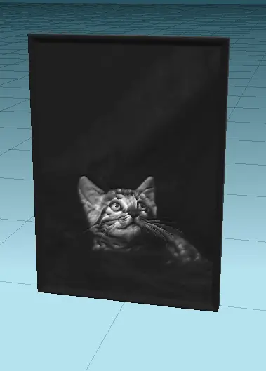 gato