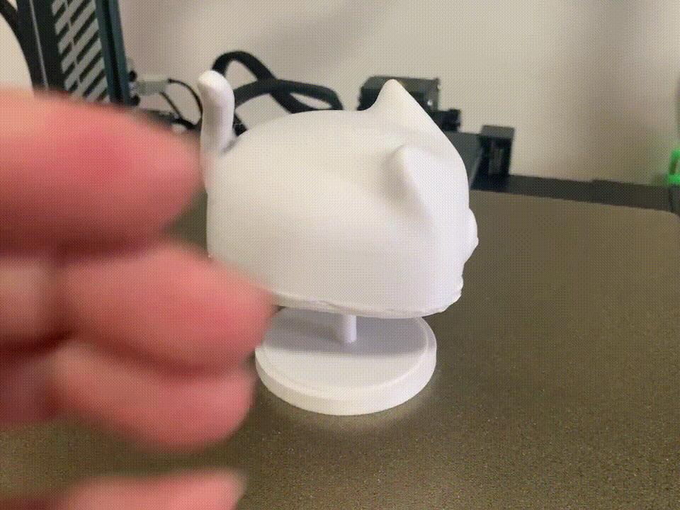 旋转的猫咪Spinning cat