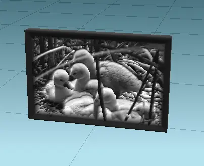 patos
