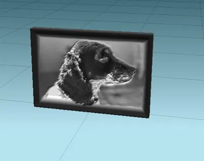 perro