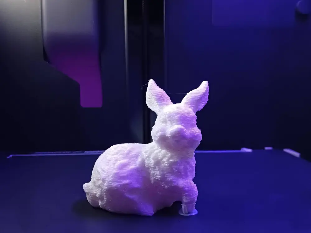 cute bunny