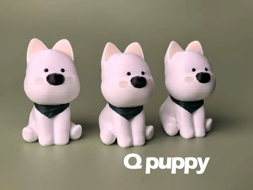 Q puppy