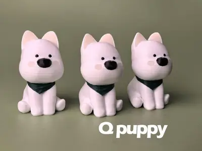 Q puppy