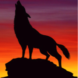 3D_Wolf