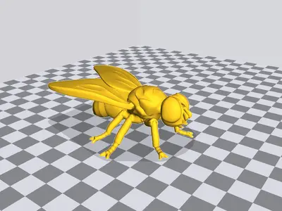 苍蝇