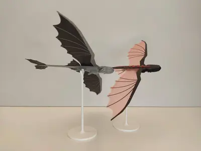 Flying Night Dragon
