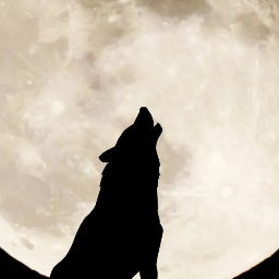 noche