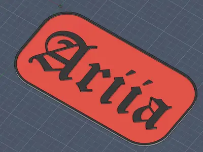 Name Sign Ariia