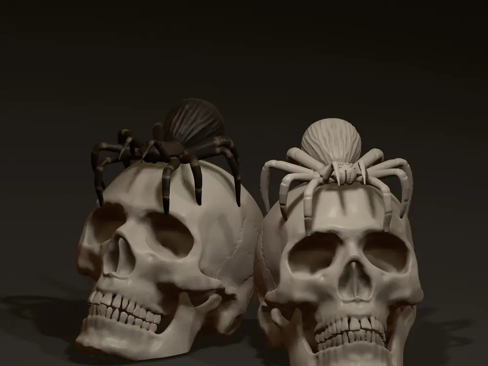 Skull with spider