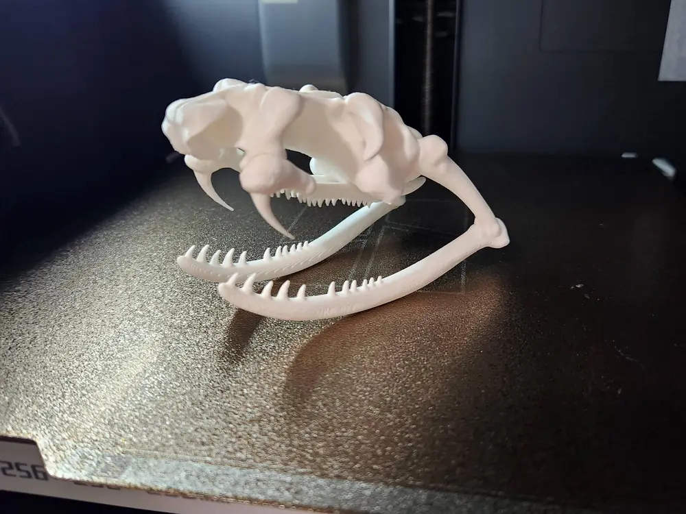 Snake Skull
