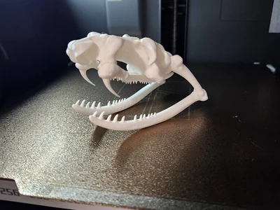 Snake Skull