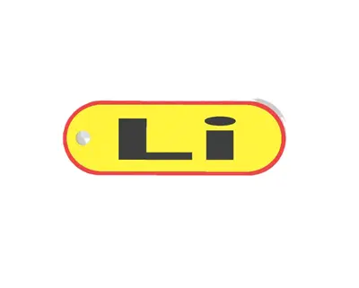 Li Custom Keychain