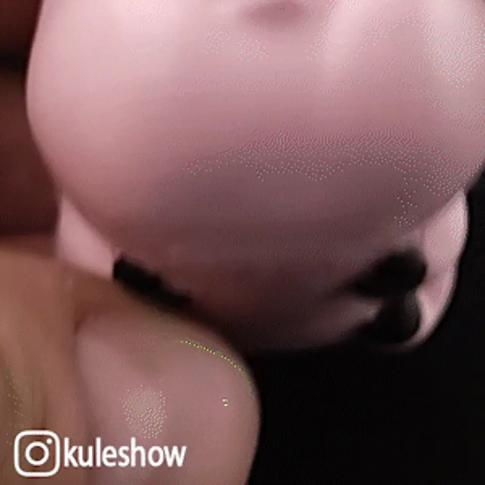 Waddles Needlecase