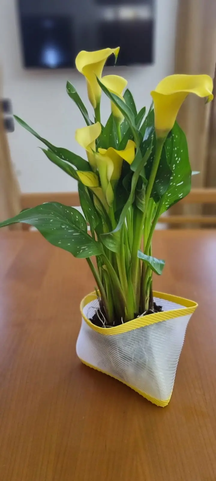 Harmony in a Vase