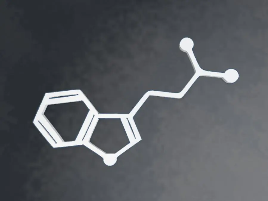 DMT Molecule Magnet