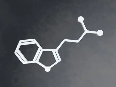 DMT Molecule Magnet
