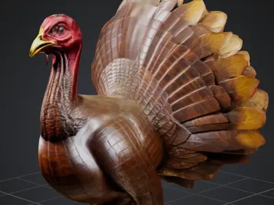 Pavo
