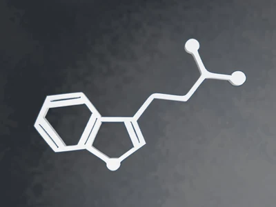 DMT Molecule Magnet