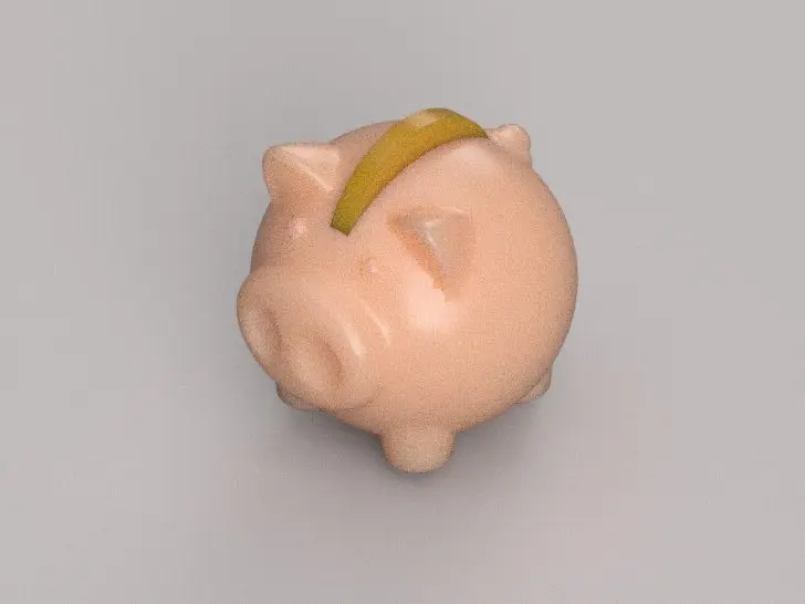Coin Pig