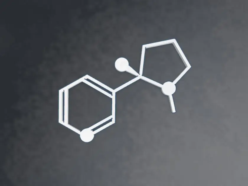 Nicotine Molecule Magnet