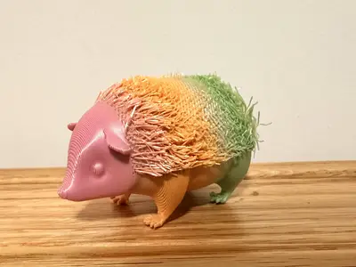野猪 线模型 string art
