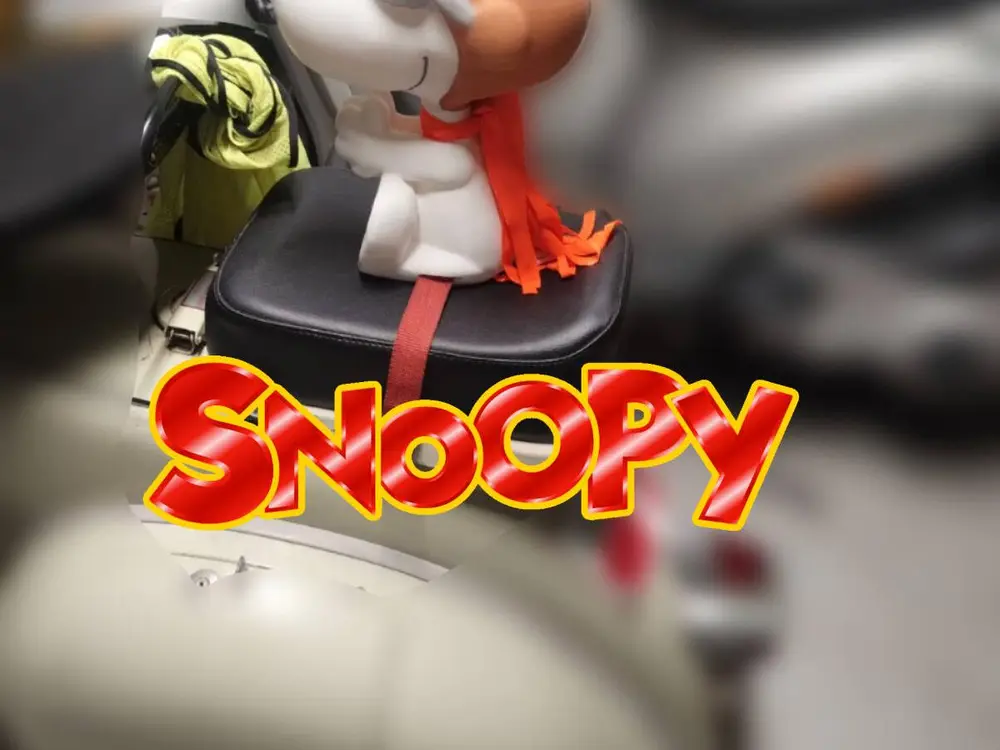 Snoopy Motorcycle decoration (or other)