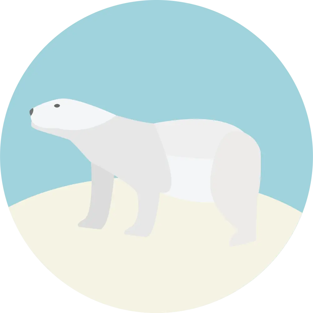 animal plate 6