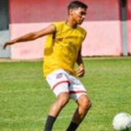 tigrefsur