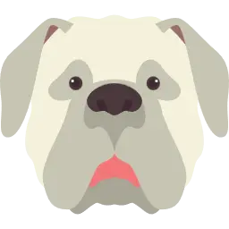 Doog 5 keychain