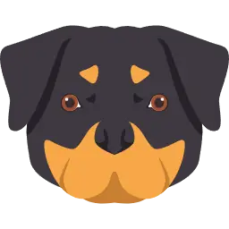 Doog pitbull keychain