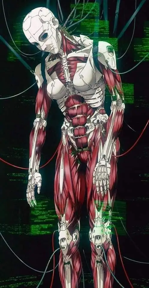 Ghost in the SHell Cyborg