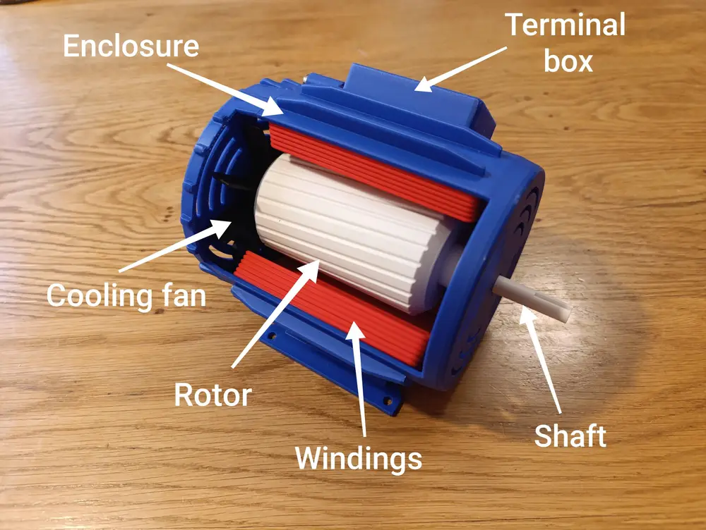 Three phase electric motor