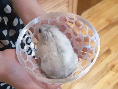 Hamster ball